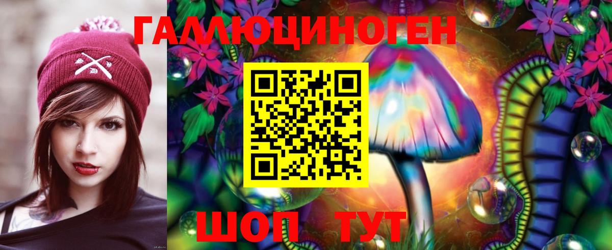 Галлюциногенные грибы Psilocybine cubensis Красноуфимск
